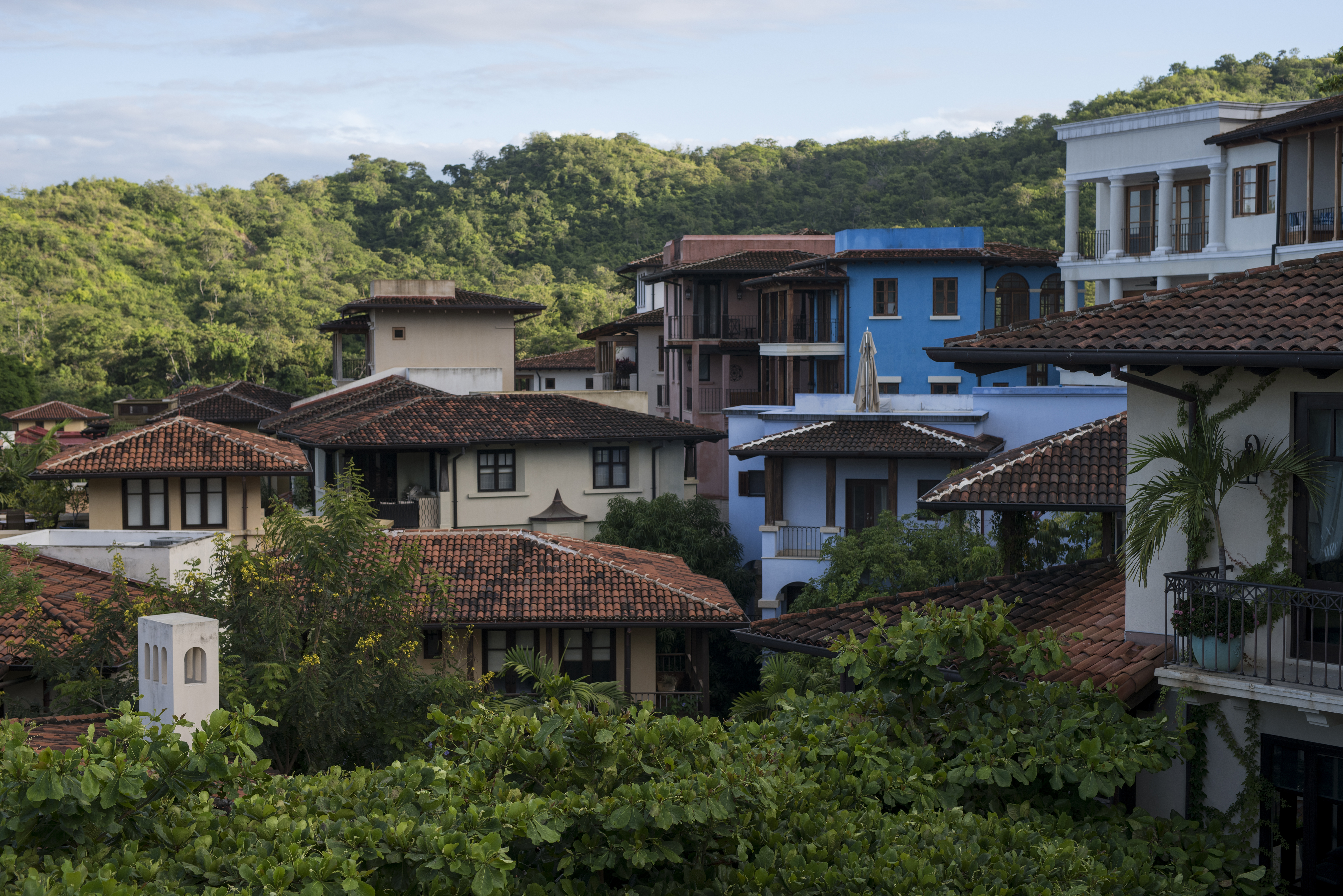 Discovering Town Everything You Need to Know About Home Owning in LAS